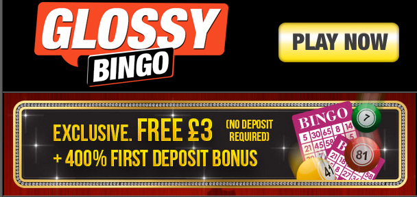 new no deposit bonus bingo