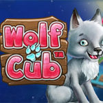 LIMITED OFFER! CasinoEuro is giving away 10 Wolf Cub Slot Free Spins No Deposit Required