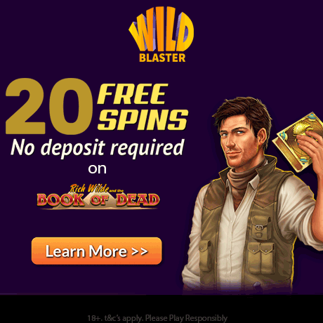 WildBlaster Casino